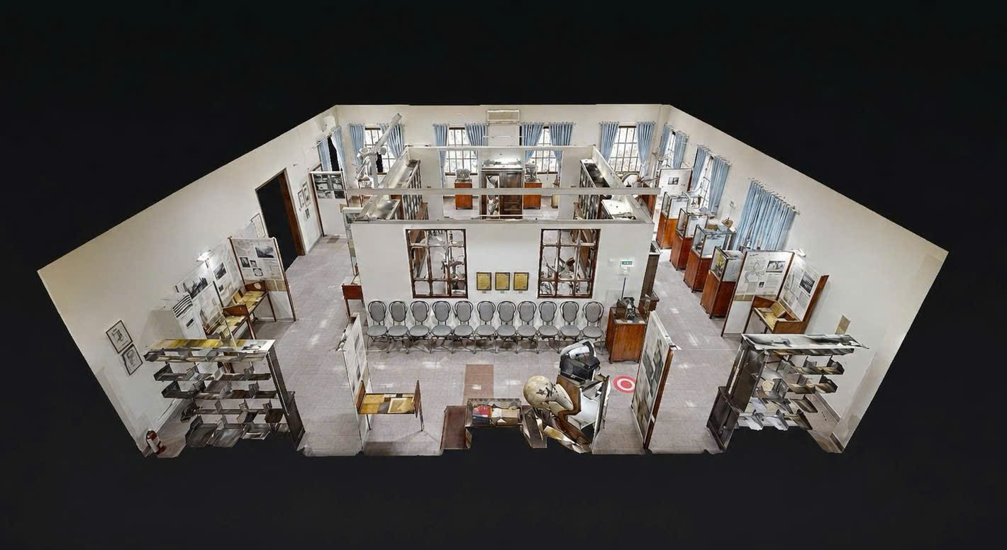 Chế Độ Dollhouse Là Gì? Góc Nhìn Toàn Cảnh Độc Đáo Trong 3D Scanning